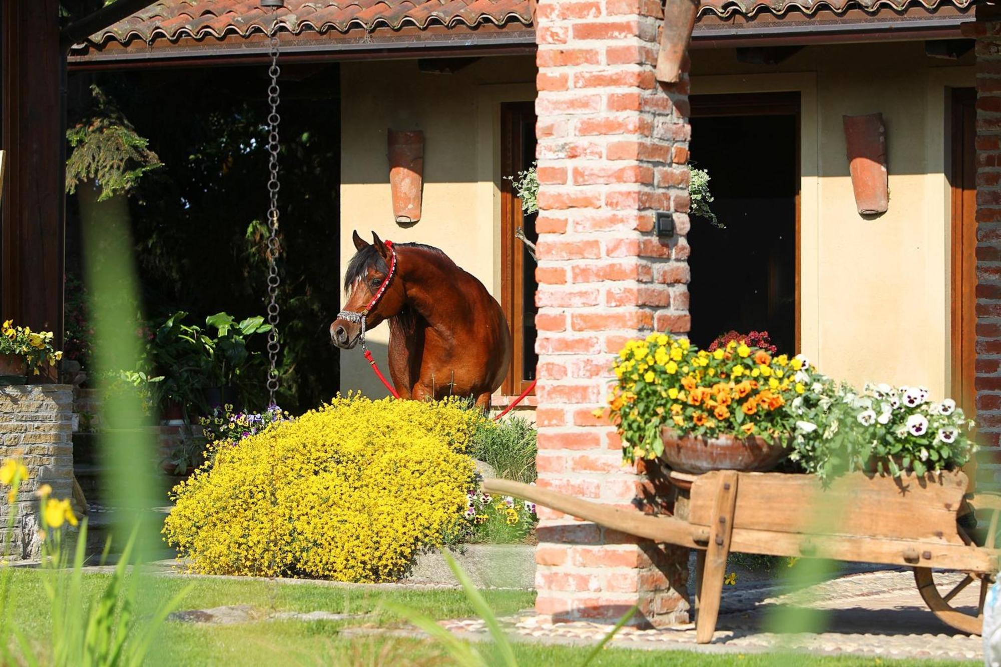 Le Soleil Vila Vigone Exterior foto
